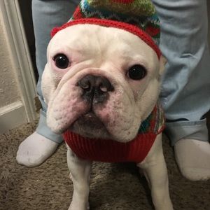 Meet your Posher, Gregory